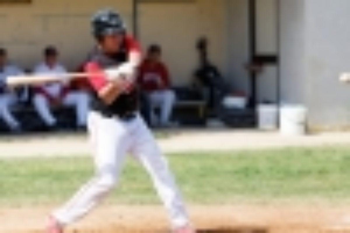 Baseball Serie B : Fotocronaca del successo della Fiorentina Baseball Firenze Viola Supersport a Nettuno