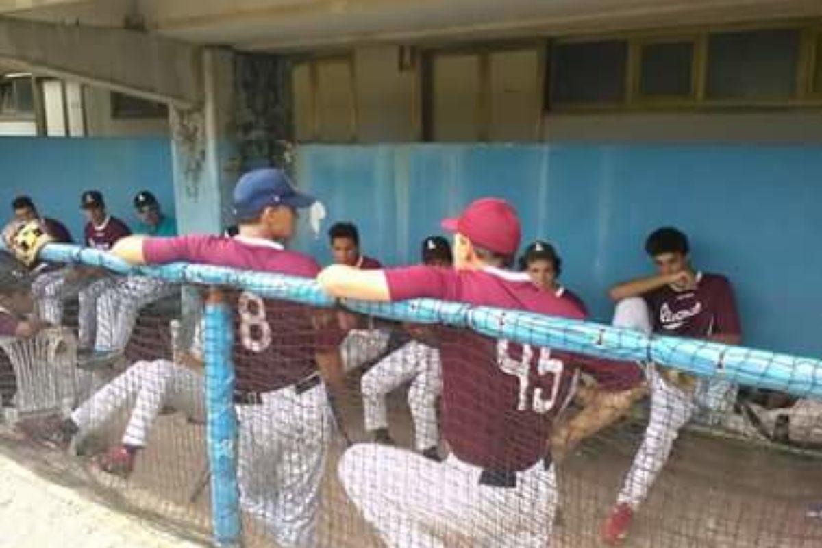 Baseball giovanile Finale torneo  Città di Firenze under 12 e under 16