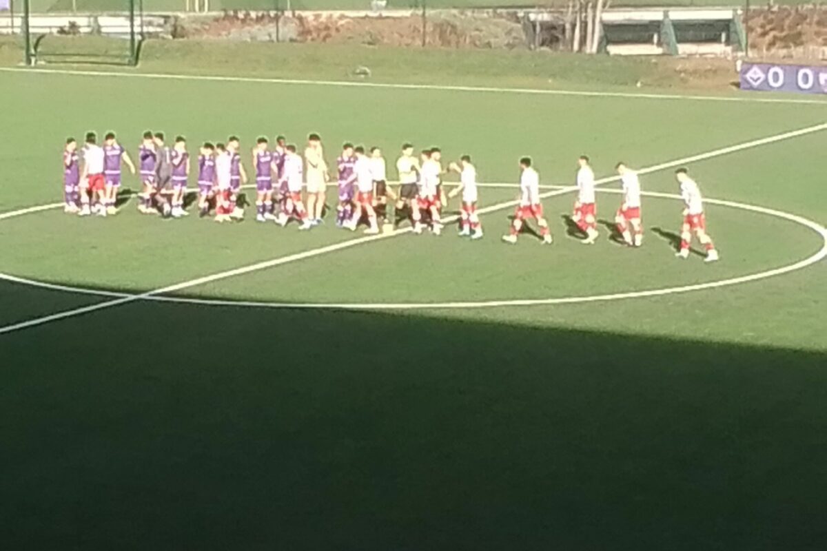 Calcio: “Anticipo di Giovani Pianticelle Viola crescono”: Il week end del settore giovanile viola: la Primavera battendo la Juventus 1-0 (Baroncelli al 34°st)ottiene i primi 3 punti al”Viola Park”; l’Under 18 vince a Frosinone 3-2