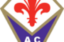 <span class="hot">Live <i class="fa fa-bolt"></i></span> Calcio: Il programma del Settore Giovanile Viola