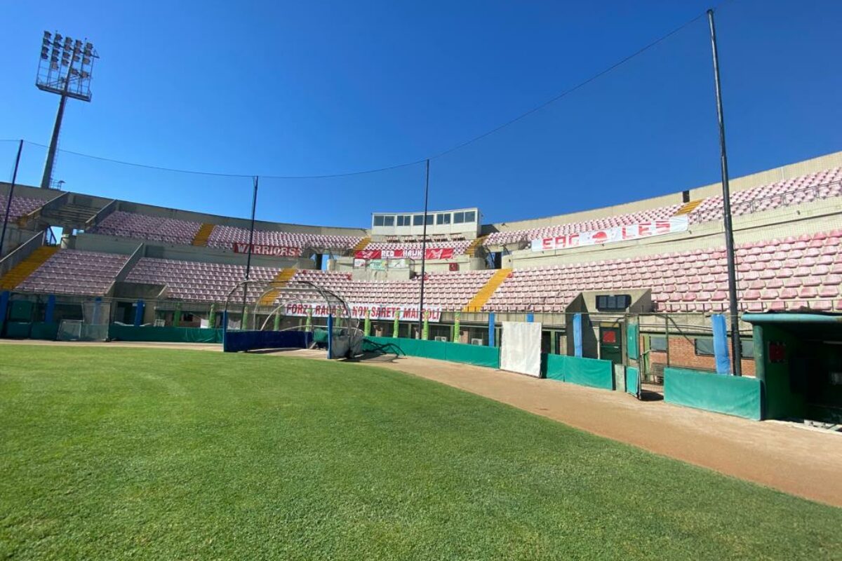 Baseball: le ultime news da Grosseto