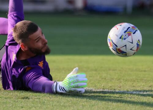 Fiorentina vs Venezia 14